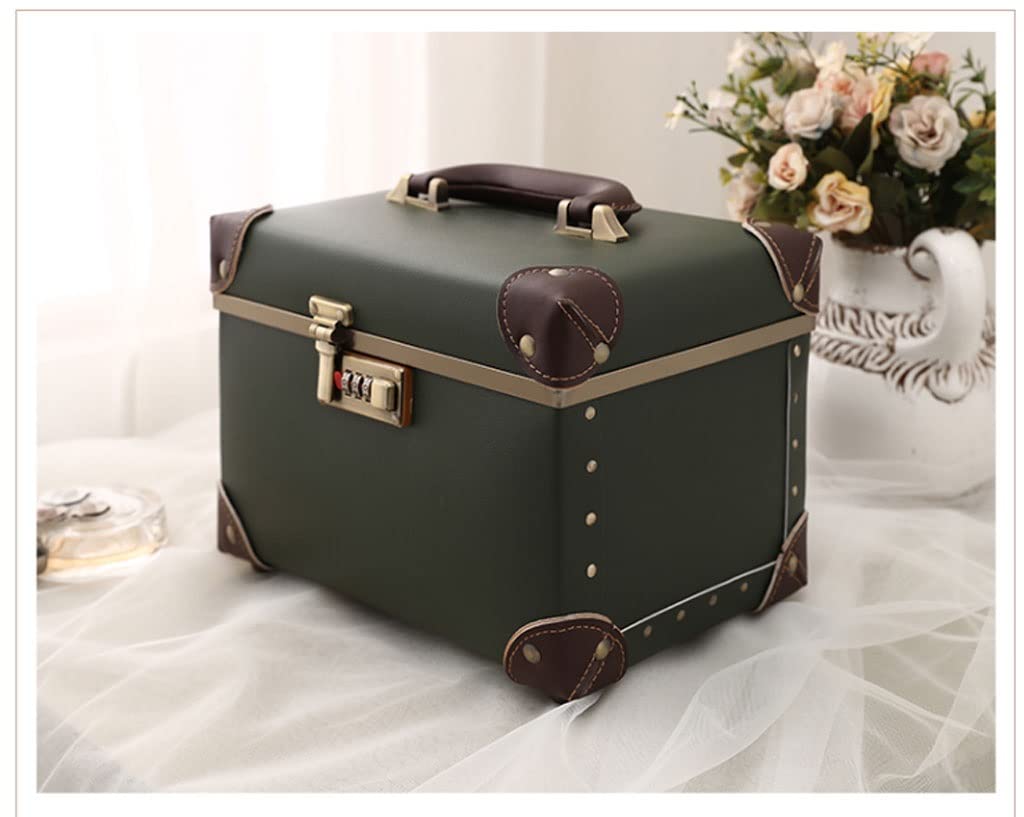 Professional Cosmetic Organizer Case