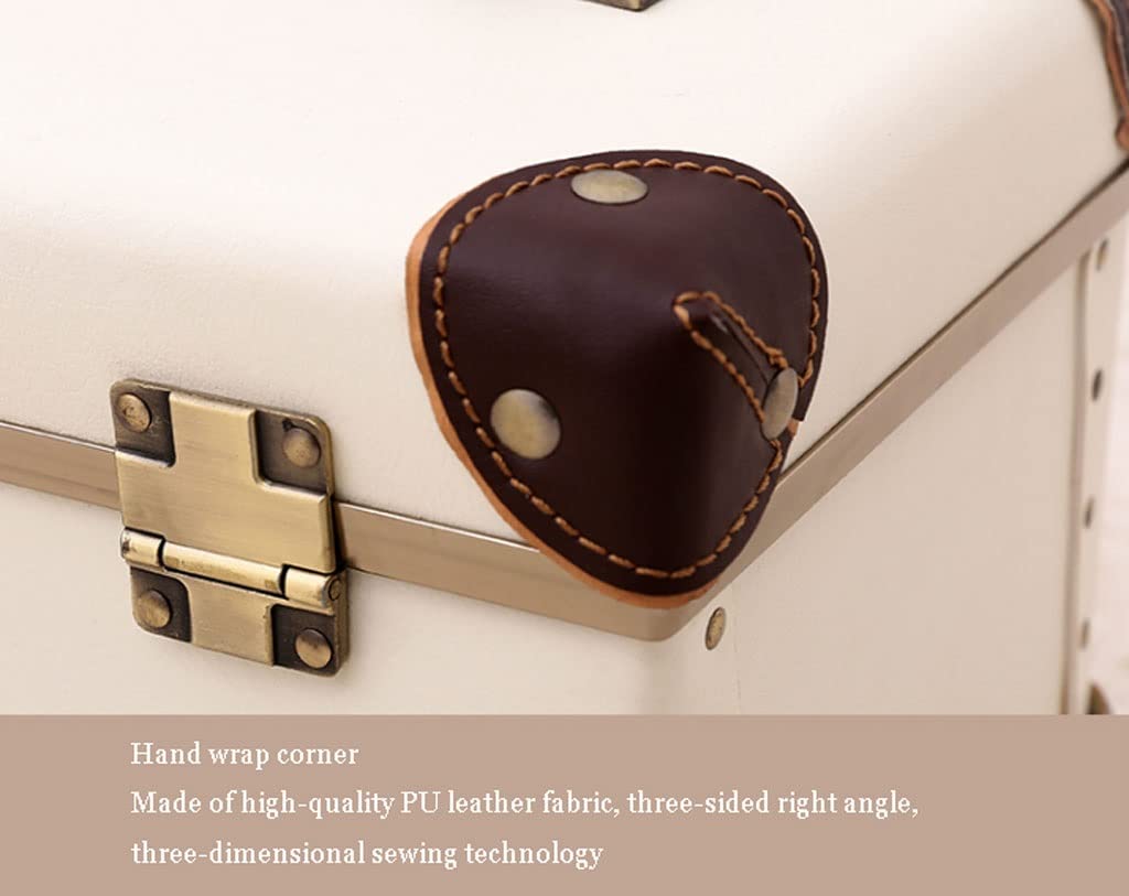 Professional Cosmetic Organizer Case