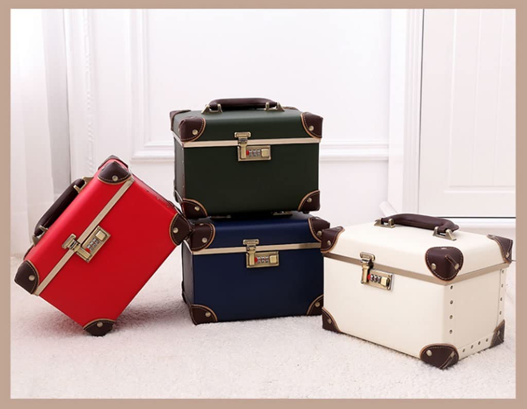 Professional Cosmetic Organizer Case