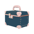 Professional Cosmetic Organizer Case