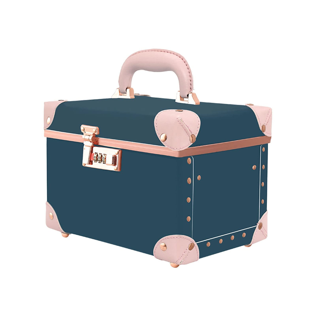 Professional Cosmetic Organizer Case