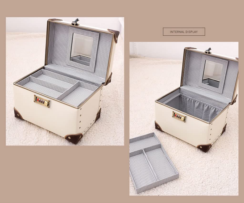 Professional Cosmetic Organizer Case